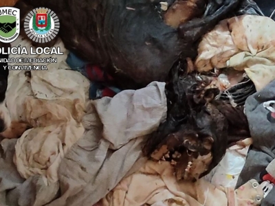 Imagen cuerpo animal 2